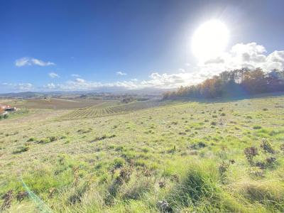For sale Limoux 1051 m2 Aude (11300) photo 1