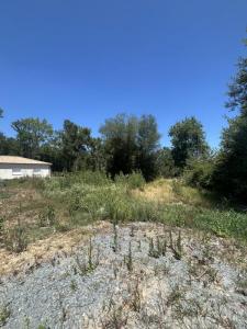 Annonce Vente Terrain Martillac 33