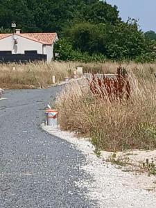 For sale Saint-palais-sur-mer 351 m2 Charente maritime (17420) photo 0
