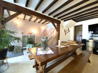 Annonce Vente Chambre d'hotes Ville-aux-clercs 41