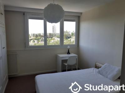 Annonce Location Appartement Saint-etienne 42