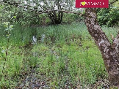 Acheter Terrain Rochereau 29900 euros