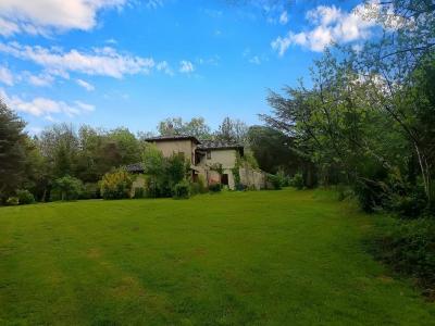 Annonce Vente Prestige Puycalvel 81