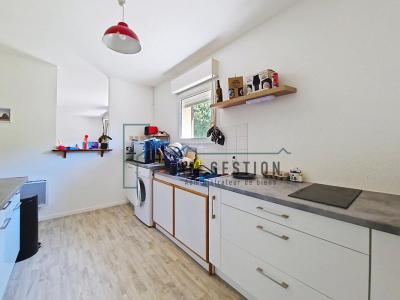 Annonce Location 3 pices Appartement Aixe-sur-vienne 87