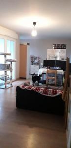 Louer Appartement 39 m2 Nantes
