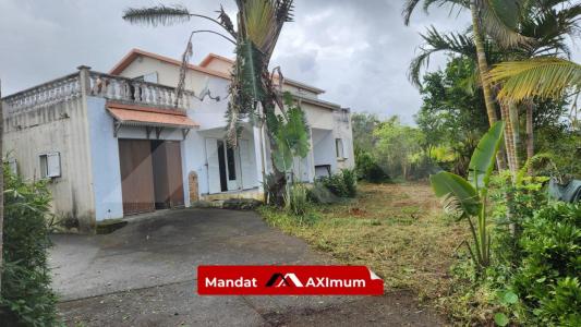 Annonce Vente 5 pices Maison Petite-ile 974