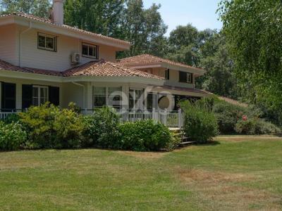 Annonce Vente Prestige Gujan-mestras 33