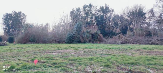 Acheter Terrain 517 m2 Langrolay-sur-rance