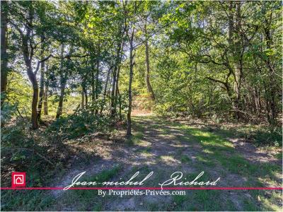 For sale Courmemin 32767 m2 Loir et cher (41230) photo 3