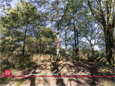For sale Courmemin 32767 m2 Loir et cher (41230) photo 4