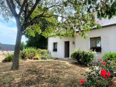 Annonce Vente 3 pices Maison Breal-sous-montfort 35