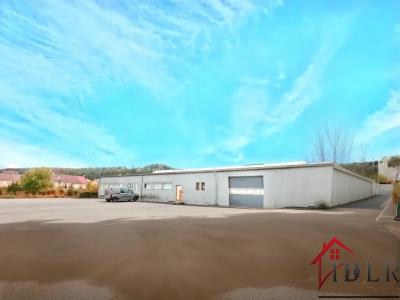 Annonce Vente Commerce Neufchateau 88