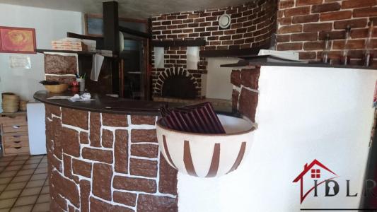 Annonce Vente Immeuble Bourbonne-les-bains 52