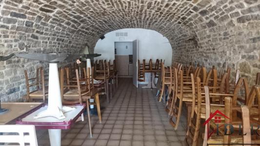 Acheter Immeuble Bourbonne-les-bains Haute marne