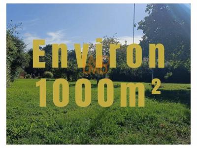 Acheter Terrain 1000 m2 Saint-michel-chef-chef