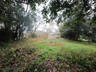 Annonce Vente Terrain Saint-guyomard 56