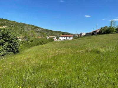 Annonce Vente Terrain Leigneux 42