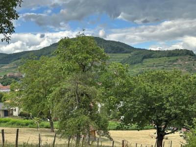 Annonce Vente Terrain Soultz-haut-rhin 68