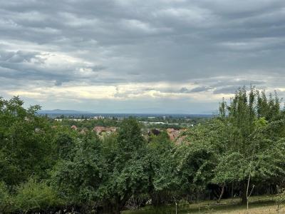 Acheter Terrain 3739 m2 Soultz-haut-rhin
