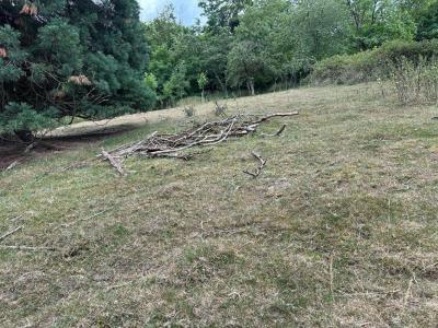 Acheter Terrain Soultz-haut-rhin 289000 euros