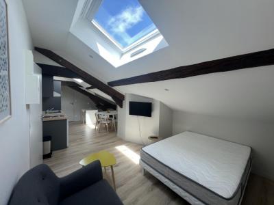 Annonce Location Appartement Roanne 42