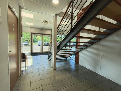 Annonce Location Bureau Montauban 82