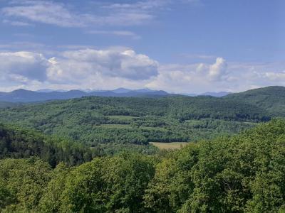 For sale Bourigeole 6 rooms 135 m2 Aude (11300) photo 2