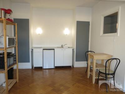 Louer Appartement 45 m2 Saint-etienne