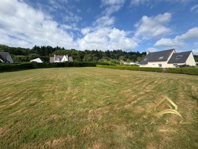 Annonce Vente Terrain  29