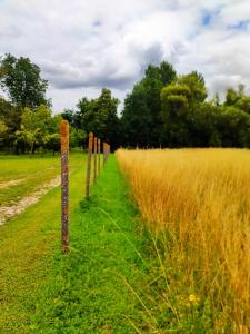 Annonce Vente Terrain  10