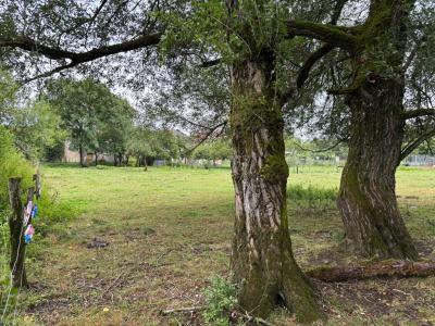 Annonce Vente 4 pices Maison  55