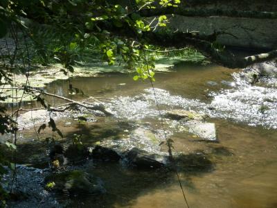 For sale Montsurs EXTERIEUR 5 rooms 130 m2 Mayenne (53150) photo 4
