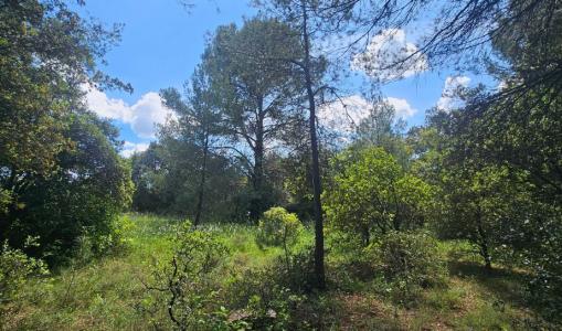 Annonce Vente Terrain Laval-pradel 30