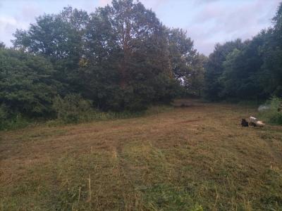 Acheter Terrain 900 m2 Saint-guyomard