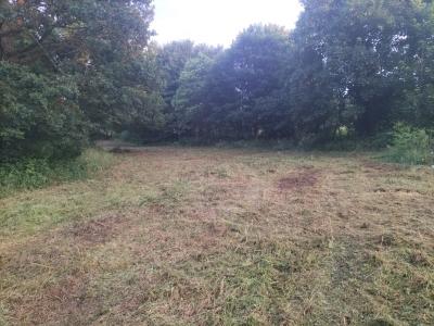 Annonce Vente Terrain Saint-guyomard 56