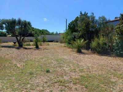 Annonce Vente Terrain Narbonne 11