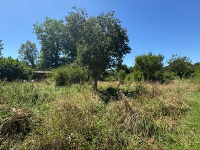 Acheter Maison 145 m2 Romagne