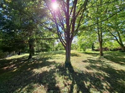 For sale Montsuzain 1505 m2 Aube (10150) photo 4