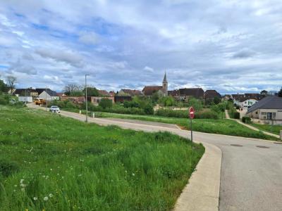 Annonce Vente Maison Authume 39