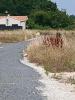 For sale Land Saint-palais-sur-mer 351 m2