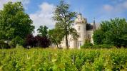 For rent Apartment Pessac  73 m2