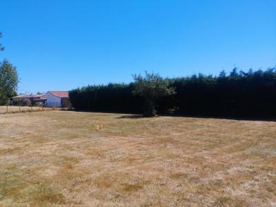 Acheter Terrain Labarthe-sur-leze 212000 euros