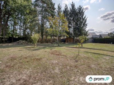 Annonce Vente Terrain Clere-les-pins 37