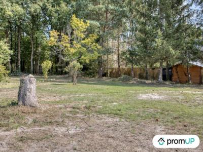 Acheter Terrain 1098 m2 Clere-les-pins