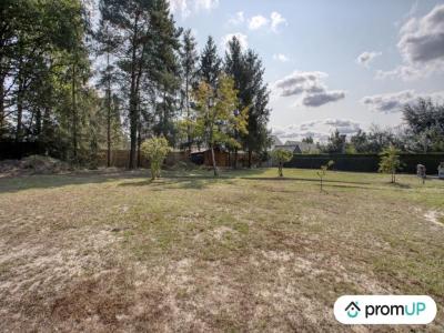 Acheter Terrain Clere-les-pins Indre et loire