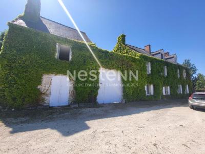 Annonce Vente 15 pices Maison Saint-dye-sur-loire 41