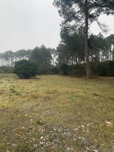 Acheter Terrain Teste-de-buch Gironde