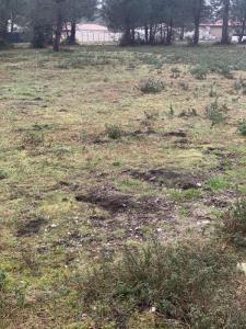 Acheter Terrain Teste-de-buch 399000 euros