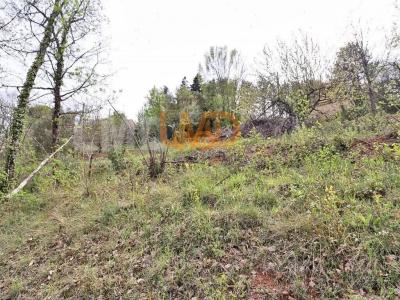 Annonce Vente Terrain Taussac-la-billiere 34