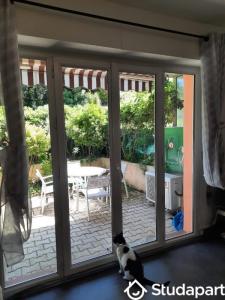For rent Villeneuve-loubet 1 room 22 m2 Alpes Maritimes (06270) photo 4